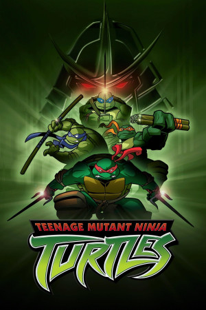 კუ ნინძები, Teenage Mutant Ninja Turtles