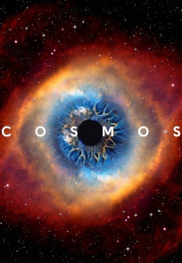 კოსმოსი: სივრცე და დრო | Cosmos: A Spacetime Odyssey