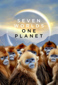 შვიდი სამყარო ერთი პლანეტა | Seven Worlds One Planet
