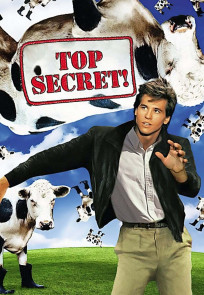 სრულიად საიდუმლოდ! | Top Secret!
