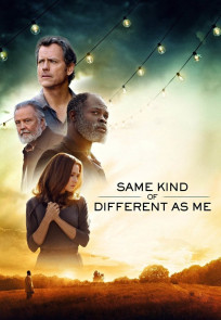 ისეთივე სხვანაირი როგორც მე | Same Kind of Different as Me