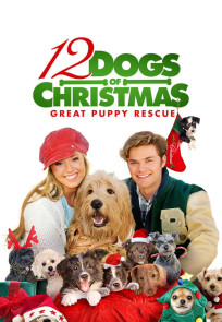 12 საშობაო ძაღლი / The 12 Dogs of Christmas