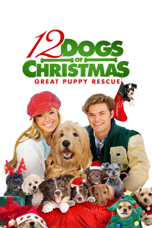 12 საშობაო ძაღლი / The 12 Dogs of Christmas