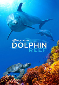 დელფინის რიფი | Dolphin Reef
