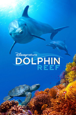 დელფინის რიფი | Dolphin Reef