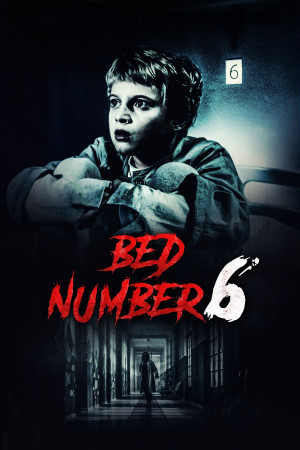 საწოლი ნომერი 6 / Letto numero 6