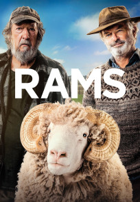 ვერძები | Rams