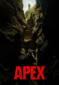 მწვერვალი | Apex