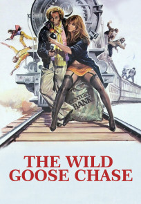თვალი არ მოაცილო | The Wild Goose Chase