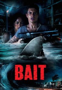 სატყუარა | Bait