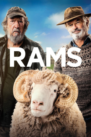ვერძები | Rams