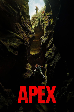 მწვერვალი | Apex