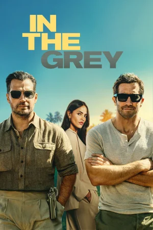 დიდი ძარცვა | In the Grey