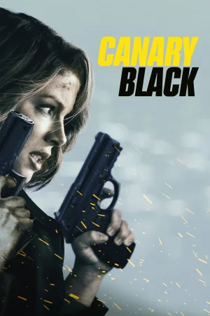 კანარი ბლექი | Canary Black