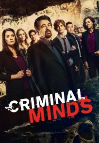 კრიმინალური აზროვნება / CRIMINAL MINDS