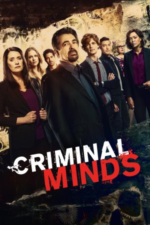 კრიმინალური აზროვნება / CRIMINAL MINDS
